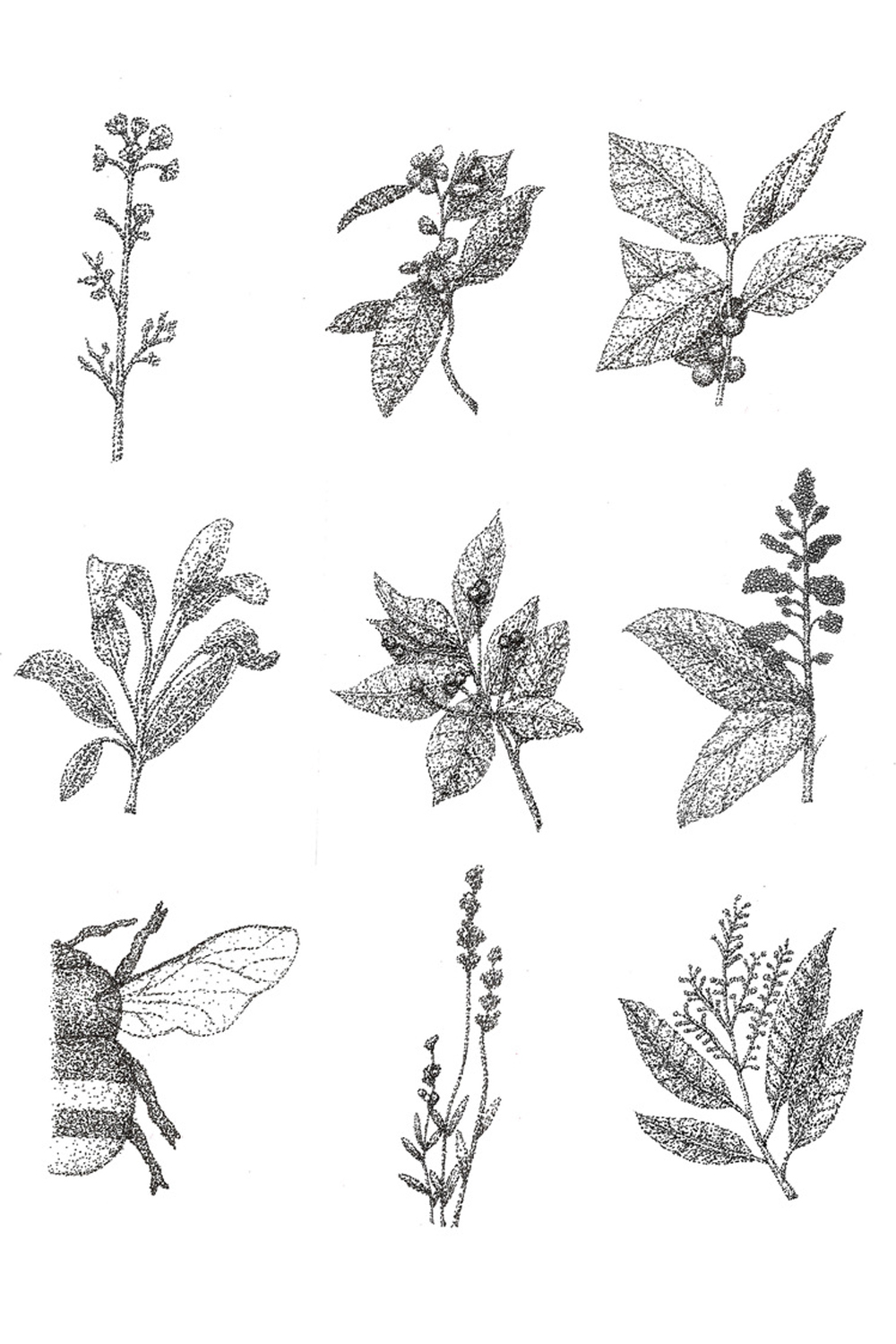 The Sticky Leaf - Honey Infusions